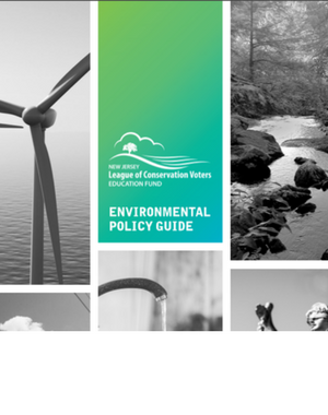 Green in 17 Environmental Policy Guide
