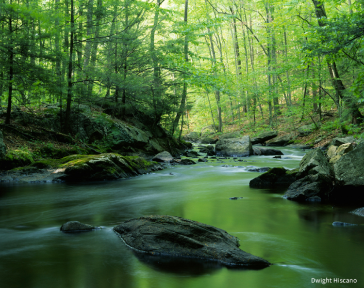 NJ Highlands