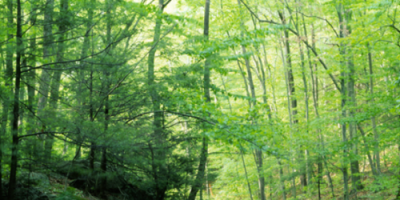 NJ Highlands