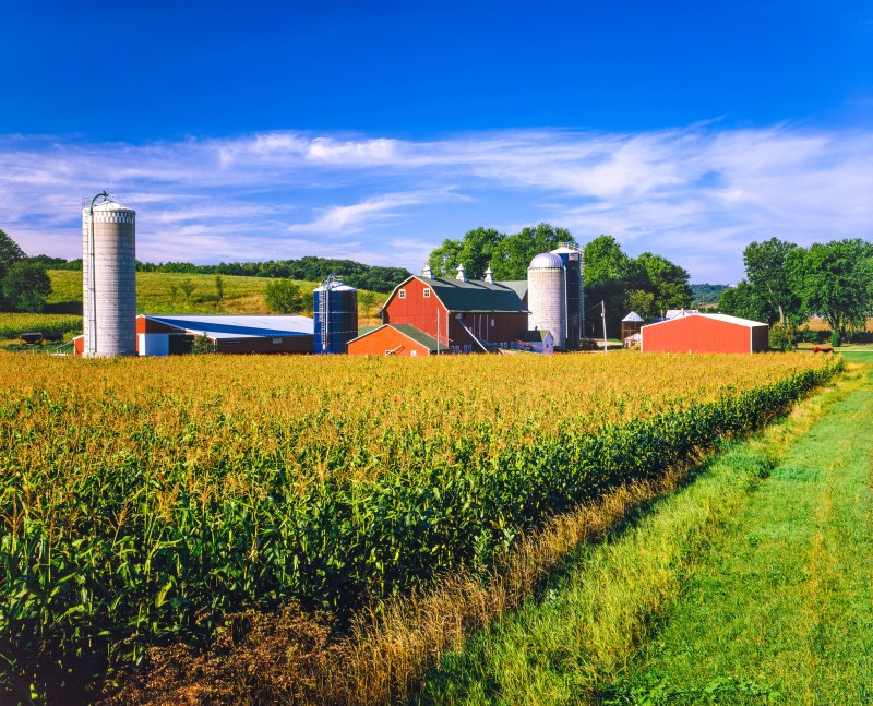 A red barn with silos surrounded by a cornfield under a blue sky