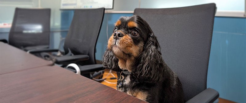 Mr. Bingley at work